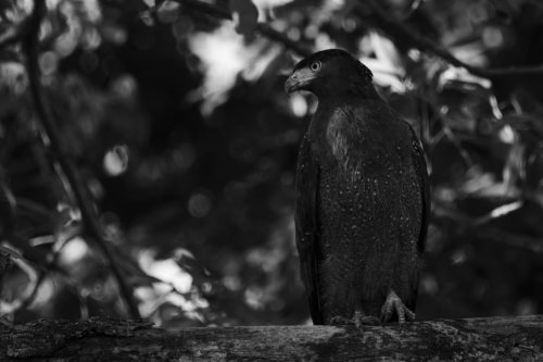 _DSC0054